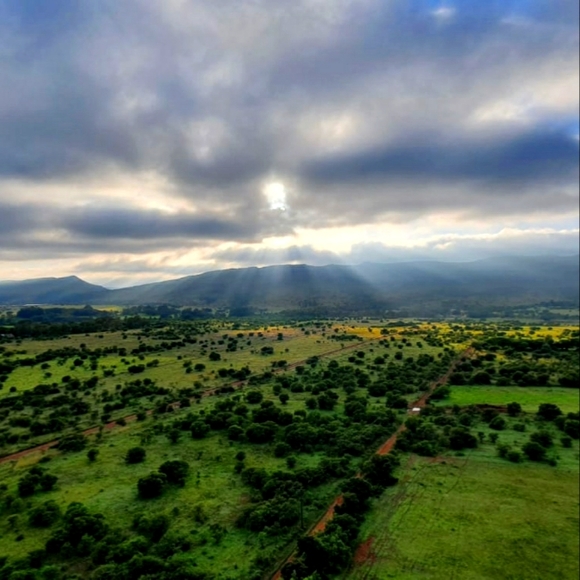 Meet your Posher, Joe - Picture 3 of 5